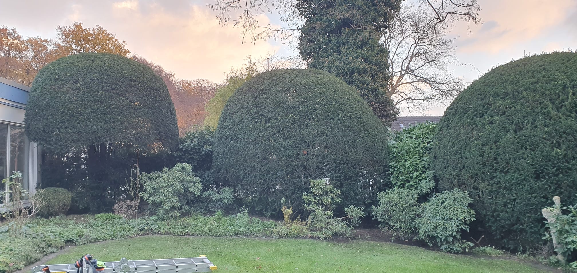 Gartenarbeit – Beetpflege und Grünschnitt