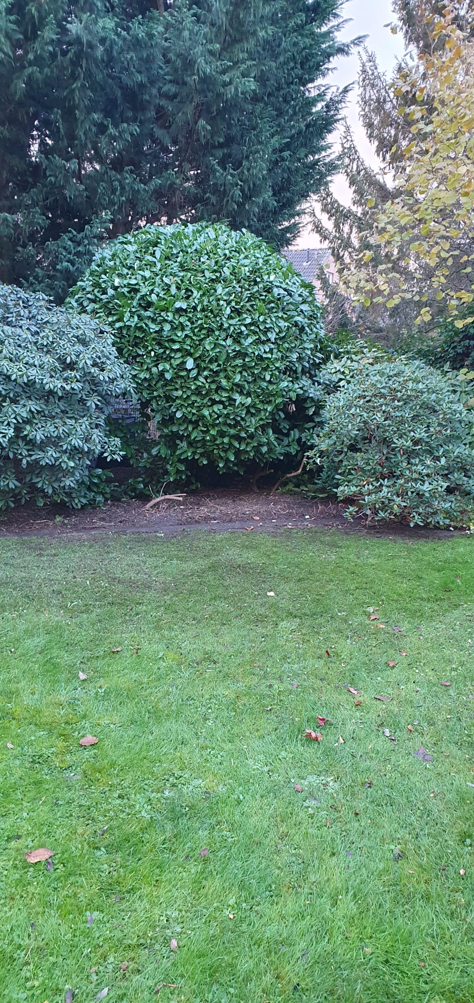 Rasenpflege und Gartengestaltung