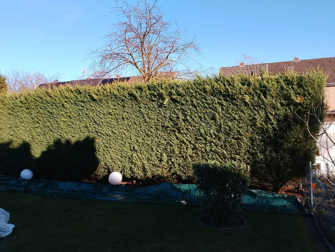 Professionelle Grünflächenpflege