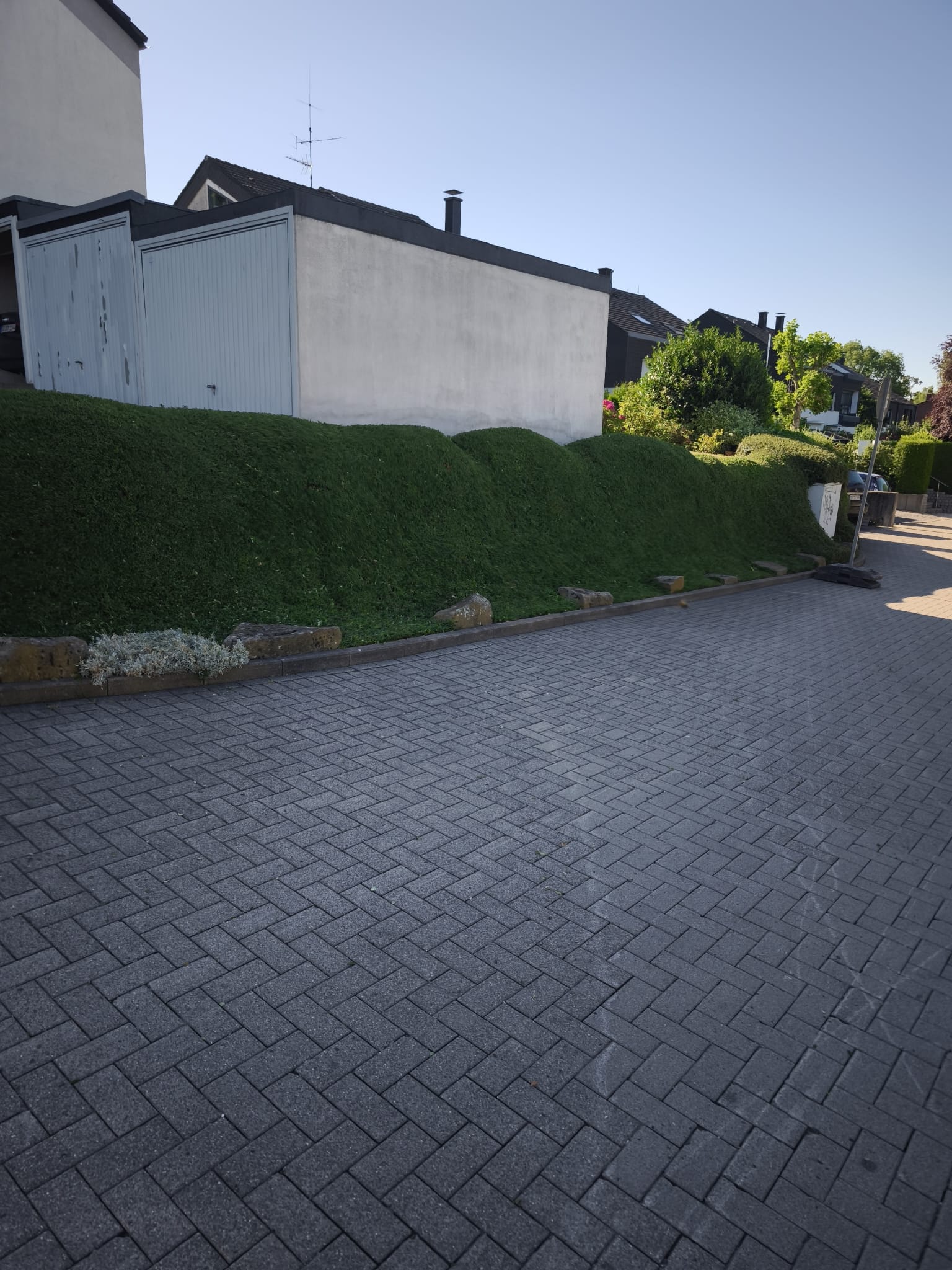 Gepflegte Hecke von Latus Grün- und Heckenpflege